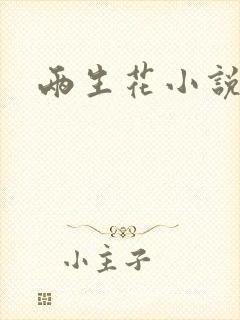 两生花小说