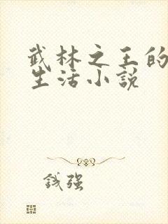 武林之王的退隐生活小说