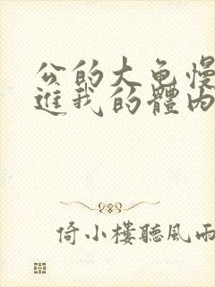 公的大龟慢慢挺进我的体内视频