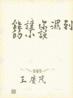 能让你湿到不行的小说