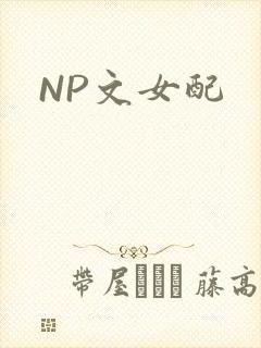 NP文女配