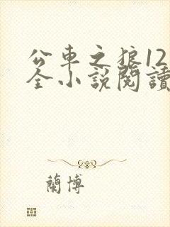 公车之狼12集全小说阅读