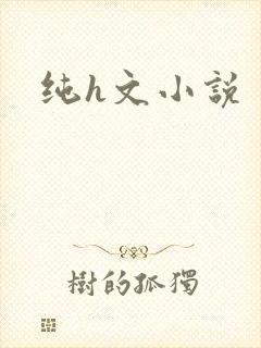 纯h文小说