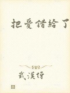 把爱错给了你