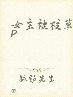 女主被校草们NP