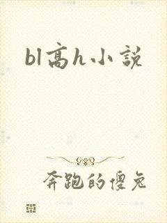 bl高h小说