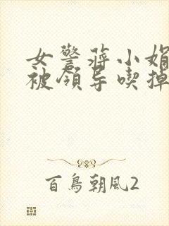 女警蒋小娟的奶被领导吃掉了