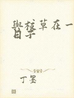 与校草在一起的日子