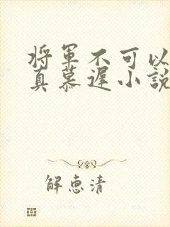 将军不可以魏云真慕迟小说笔趣阁