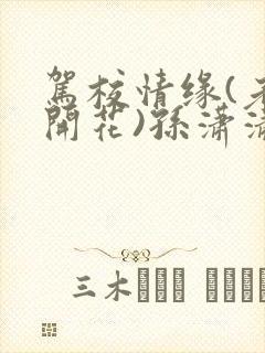 驾校情缘(老树开花)孙潇潇第一次趣笔阁