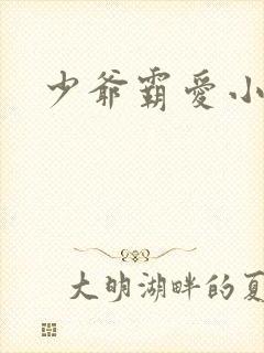 少爷霸爱小丫头