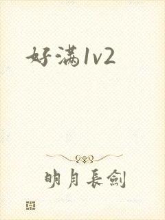 好满1v2