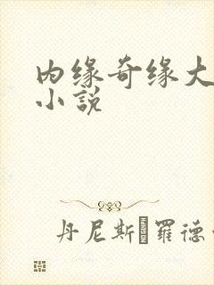 内缘奇缘大团圆小说