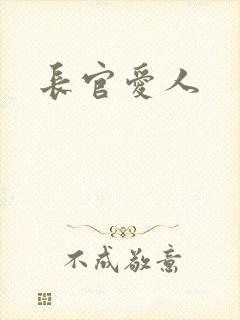 长官爱人