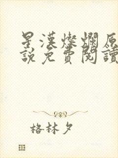 星汉灿烂原著小说免费阅读封面