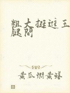 粗大挺进玉芬双腿间