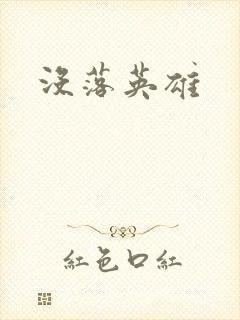 《没落英雄》小说封面