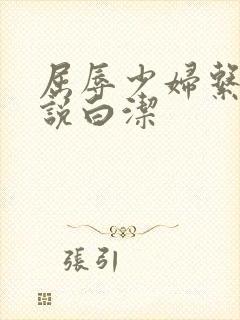 屈辱少妇系列小说白洁封面