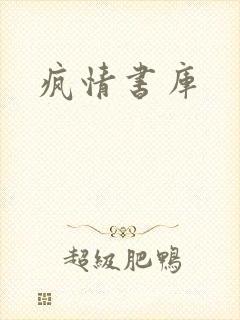 疯情书库封面