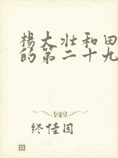 杨大壮和田桂花的第二十九