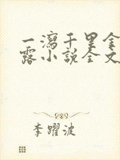 一泻千里金银花露小说全文免费阅读