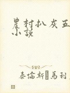 农村扒灰五十篇小说封面