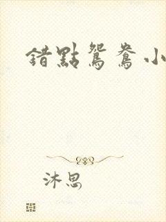 错点鸳鸯小说