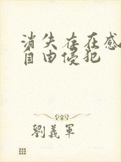 消失存在感消失自由侵犯