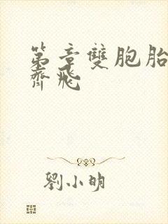 第章双胞胎姐妹齐飞