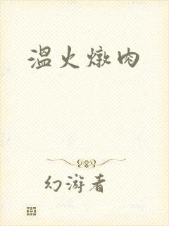 温火炖肉