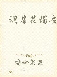 洞房花烛夜小说