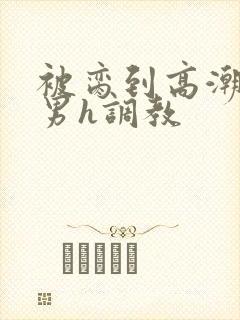 被脔到高潮的直男h调教