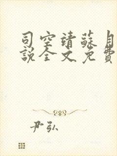 司空靖苏月汐小说全文免费阅读