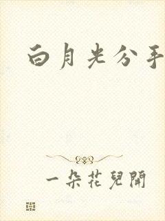 白月光分手日常