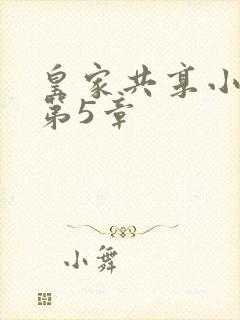 皇家共享小公主第5章