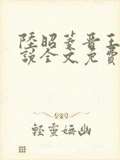 陆昭菱晋王的小说全文免费阅读