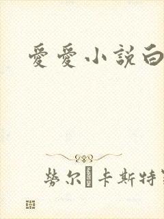 爱爱小说白洁