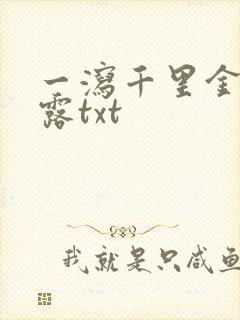 一泻千里金银花露txt