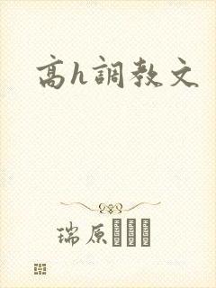 高h调教文
