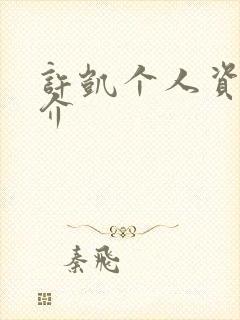 许凯个人资料简介