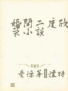 婚开二度欣欣向荣小说