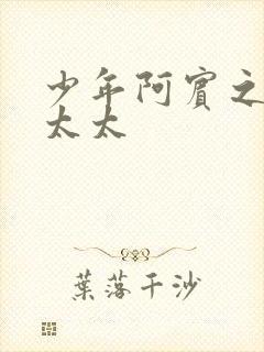 少年阿宾之房东太太