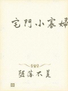 宅门小寡妇