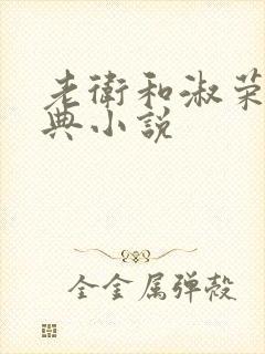 老卫和淑荣的经典小说