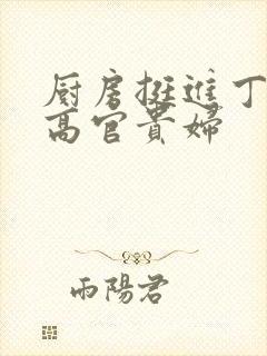 厨房挺进丁字裤高官贵妇