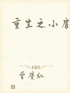 重生之小房东