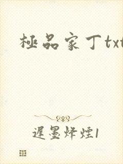 极品家丁txt