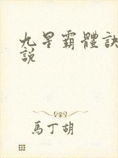 九星霸体诀 小说封面
