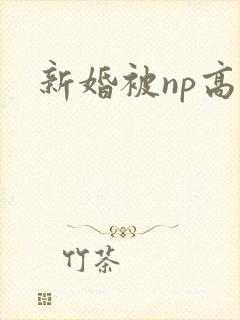 新婚被np高h