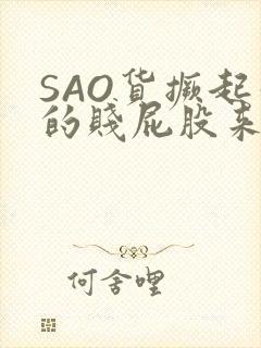 SAO货撅起你的贱屁股来